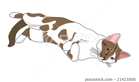 Relaxing cat 21423800