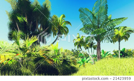 Lush vegetation in jungle 21423959