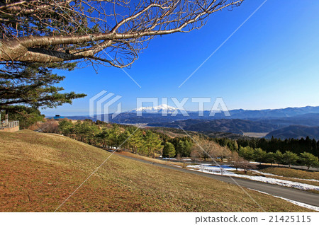 海洋森林 海洋森林 21425115