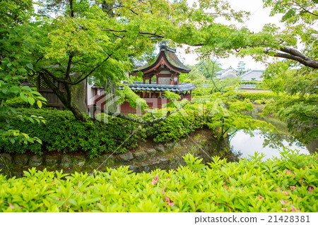 Horyu-ji Temple in Nara, Unesco world Heritage 21428381