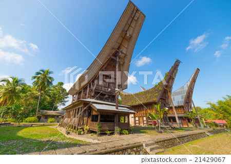 Scenic traditional village in Tana Toraja 21429067