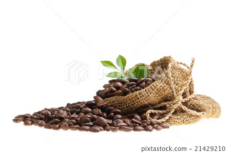 Coffee beans in canvas sack isolated on white Coffee beans in canvas sack isolated on white 21429210
