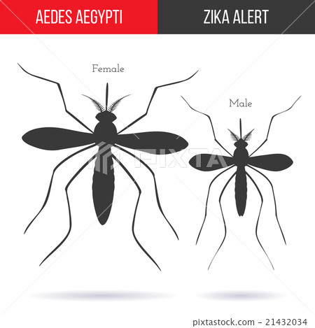 Zika virus graphic design elements. 21432034