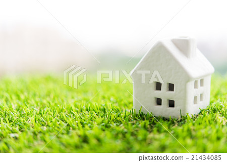 my home my home 21434085