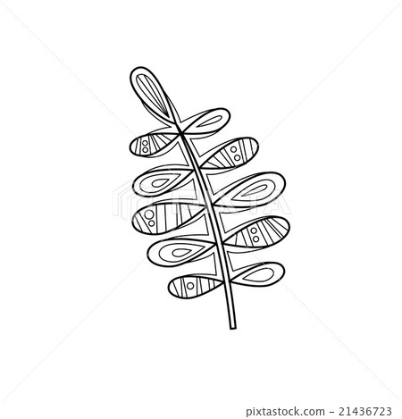 Branch Zentangle For Coloring Branch Zentangle For Coloring 21436723