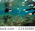 Feeding by snorkeling 2 21436880