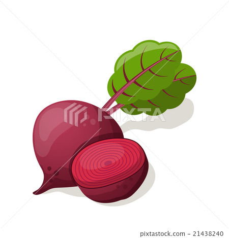 Beet isolated on white. Vector illustration Beet isolated on white. Vector illustration 21438240