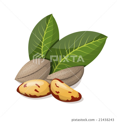 Brazil nuts with leafs isolated on white. Brazil nuts with leafs isolated on white. 21438243