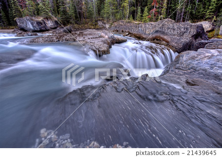 Nattural Bridge Yoho National Park Nattural Bridge Yoho National Park 21439645