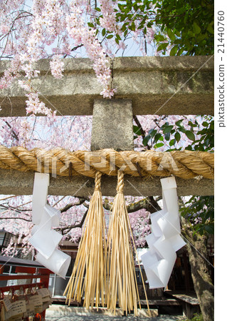 煙火天滿宮，貝尼在鳥居的洪流中飼養 21440760