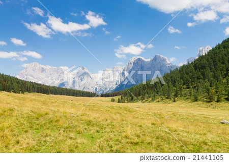 Beautiful alpine panorama 21441105