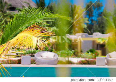 Beautiful luxury umbrella beach and chair around 21441498