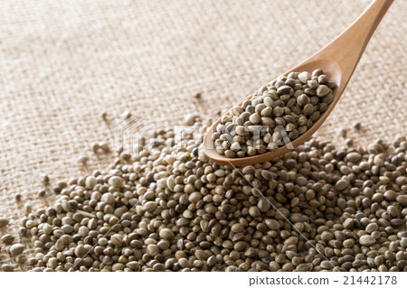 Hemp fruit 21442178