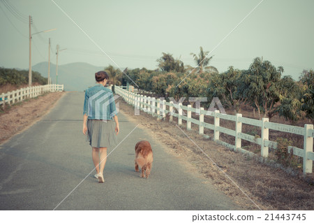 Golden retriever dog and Beautiful woman 21443745