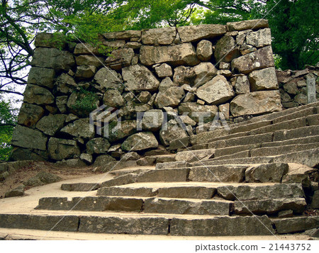 Bitchu Matsuyama Castle 21443752
