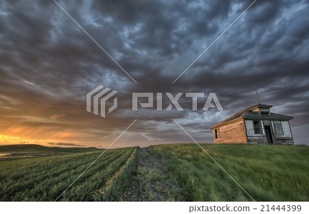 Newly planted crop 21444399