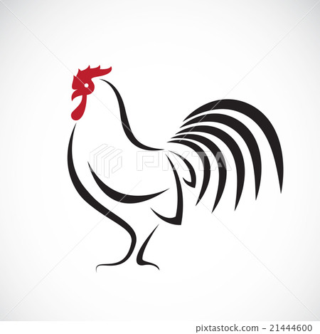 Vector image of an cock design on white background 21444600