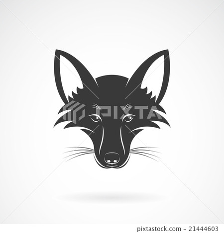 Vector image of an fox face design Vector image of an fox face design 21444603