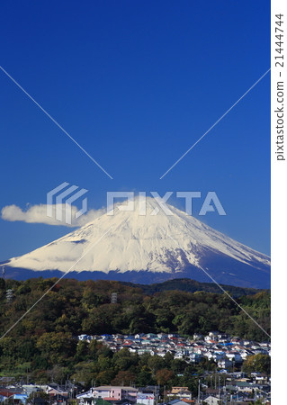 Residential area where Mt. Fuji can be seen 21444744