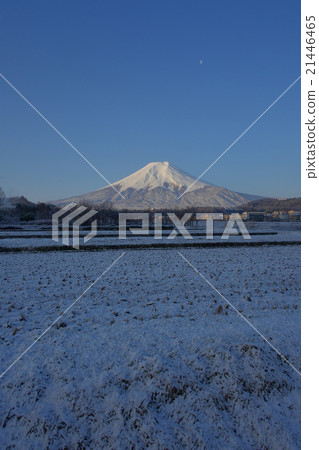 從Fujiyoshida農場公園公園晴朗的富士山 從Fujiyoshida農場公園公園晴朗的富士山 21446465