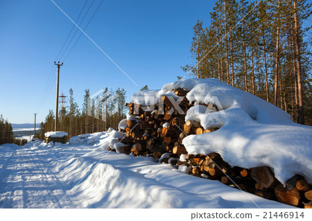 Deforestation in the clearing of power line Deforestation in the clearing of power line 21446914