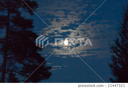 night sky with moon 21447321