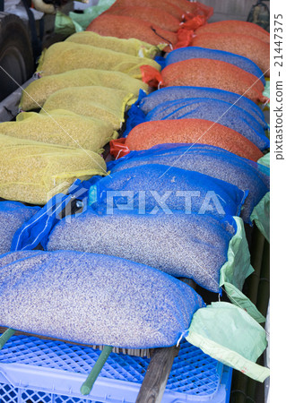 Budding of Rice Seed (Dry) 2 21447375