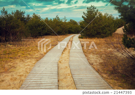 Two wooden pathways in park 21447393