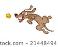 Jumping cheerful dog 21448494