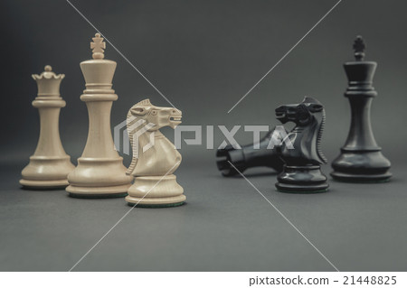 Black and White King and Knight of chess . 21448825