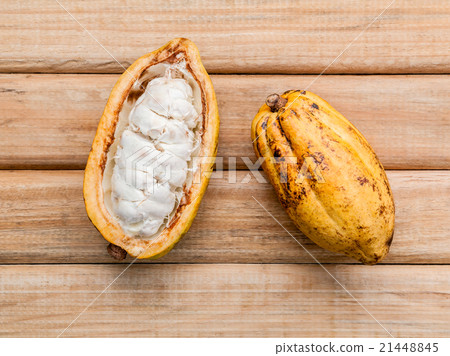 Ripe Indonesia's cocoa  setup on rustic wooden . 21448845
