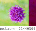 Purple and green background with triangle 21449394