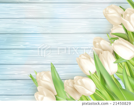 Bouquet of white tulips. EPS 10 21450829