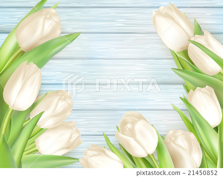 Bouquet of white tulips. EPS 10 21450852