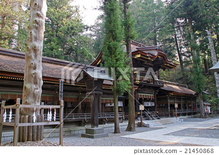 Su訪Taisha Shimosha Shunsuke Su訪Taisha Shimosha Shunsuke 21450868