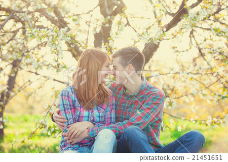 couple under the tree couple under the tree 21451651