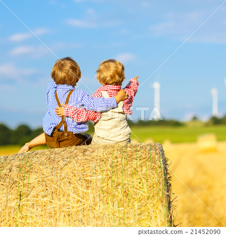Two little twin boys and friends sitting on hay Two little twin boys and friends sitting on hay 21452090