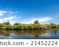 Landscape with water and forest front view 21452224