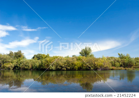 Landscape with water and forest front view 21452224