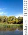 Pond in the forest with reeds 21452227