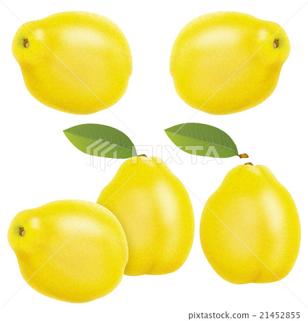 Karin Karin 21452855