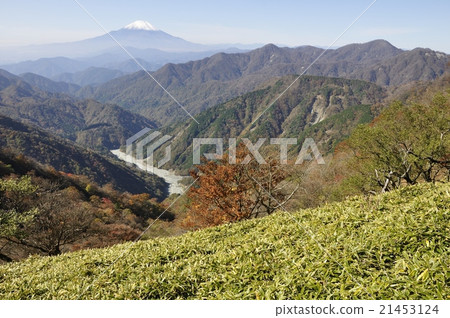 View of Nishi Tanzawa and Mt. Fuji from Ryuga Baba in autumn 21453124