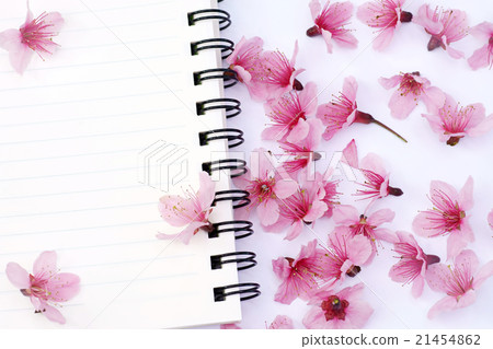 paper notebook pink cerasoides paper notebook pink cerasoides 21454862