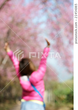 back side woman dress pink blur back side woman dress pink blur 21454865