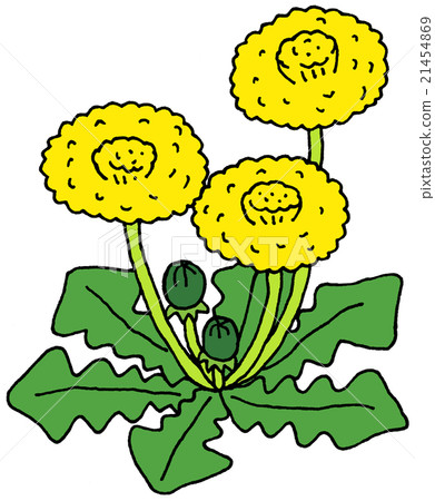Dandelion Dandelion 21454869