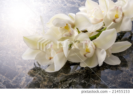 A run A run 21455153