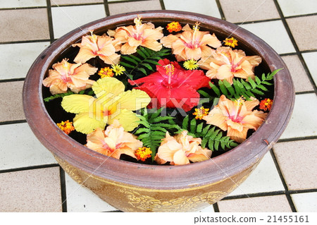 Hibiscus floating in water 21455161