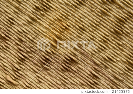 Sandstone texture background Sandstone texture background 21455575