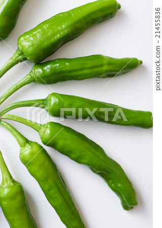 green pepper green pepper 21455836