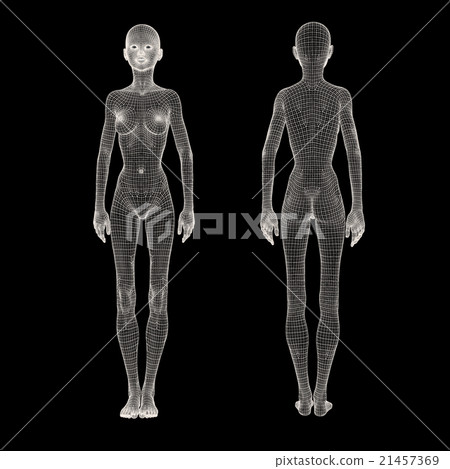 Women's body wire frame perming3DCG Illustration Material Material 21457369